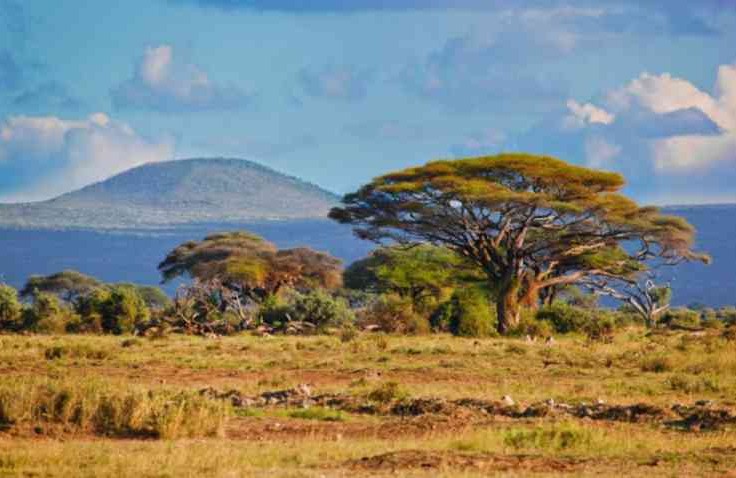 Mau Menikmati Suasana Seperti di Afrika ? Datang Saja ke Taman Nasional Baluran