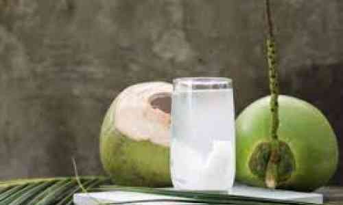 Minum Air Kelapa Cocok Saat Touring Bisa Kurangi Dehidrasi